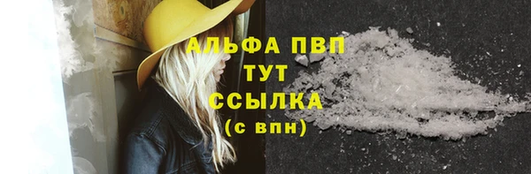 ПСИЛОЦИБИНОВЫЕ ГРИБЫ Аркадак