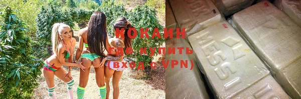 ПСИЛОЦИБИНОВЫЕ ГРИБЫ Аркадак