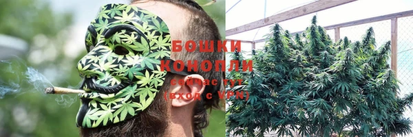 ПСИЛОЦИБИНОВЫЕ ГРИБЫ Аркадак